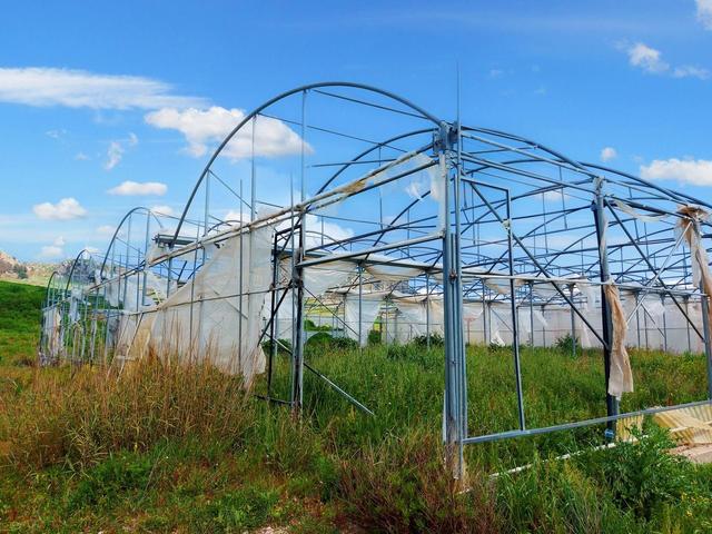 Agricoli in vendita