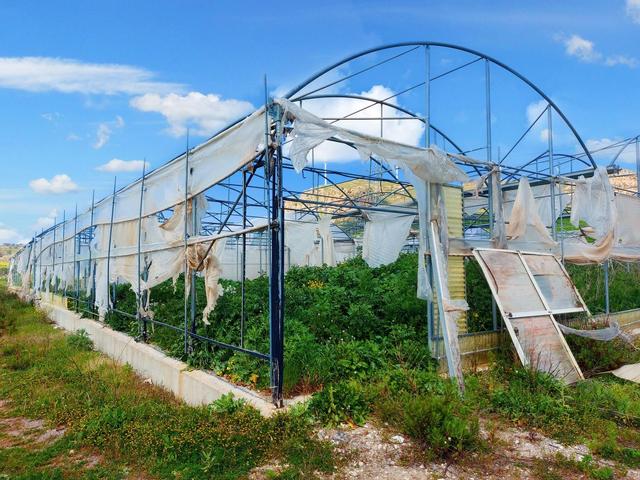 Agricoli in vendita
