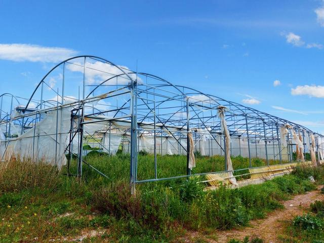 Agricoli in vendita