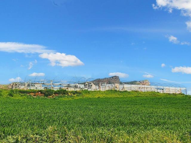 Agricoli in vendita
