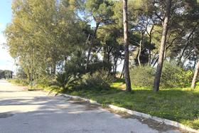 Edificabili in vendita