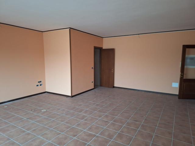 Grandi dimensioni in vendita