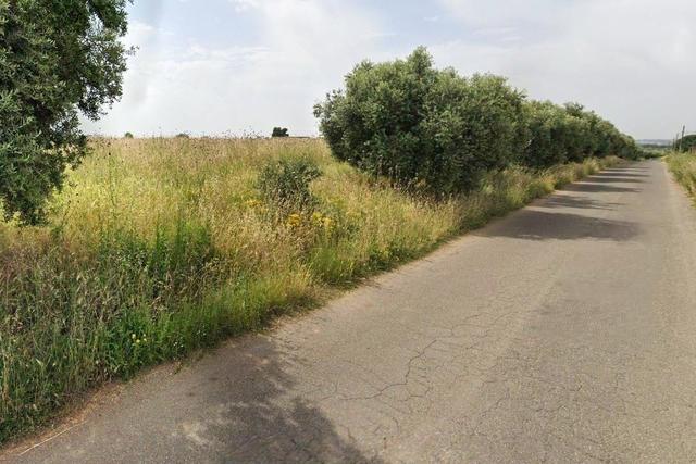 #2638529 Appezzamento agricolo in periferia rurale in vendita - foto 2