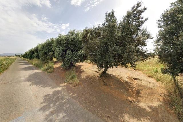 #2638529 Appezzamento agricolo in periferia rurale in vendita - foto 3