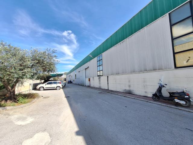 #25822 Capannone industriale con uffici, servizi e beni mobili in vendita - foto 13