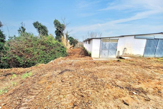 #25517 Fabbricati rurali e terreni agricoli in vendita - foto 10