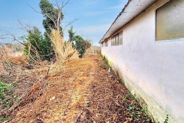 #25517 Fabbricati rurali e terreni agricoli in vendita - foto 11