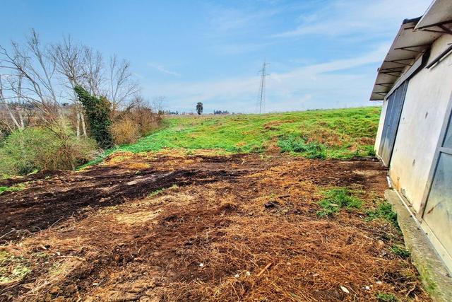 #25517 Fabbricati rurali e terreni agricoli in vendita - foto 3