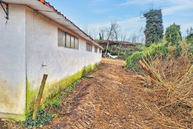 #25517 Fabbricati rurali e terreni agricoli in vendita - foto 2