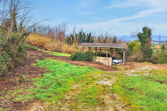 #25517 Fabbricati rurali e terreni agricoli in vendita - foto 5