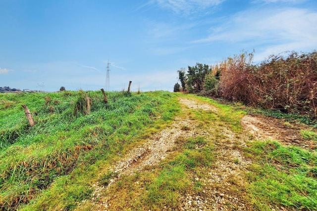 #25517 Fabbricati rurali e terreni agricoli in vendita - foto 4