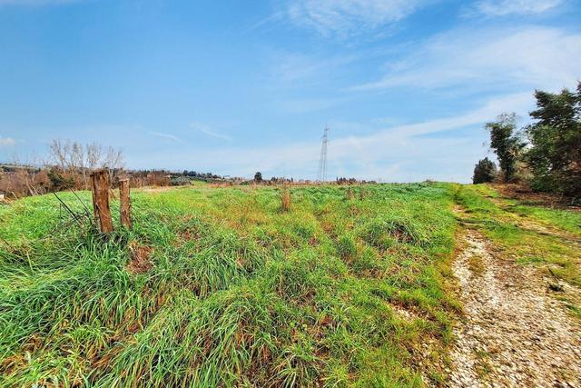 #25517 Fabbricati rurali e terreni agricoli in vendita - foto 18