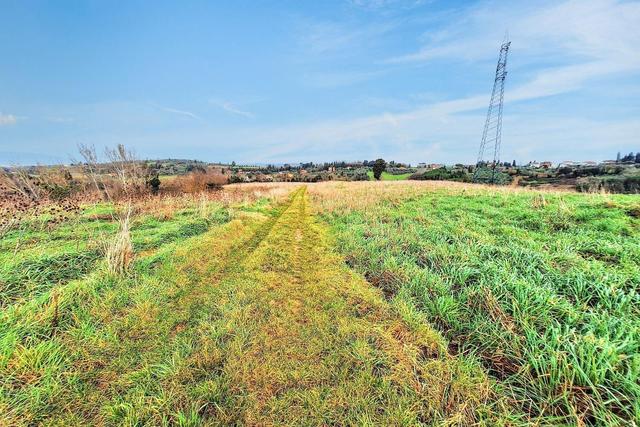 #25517 Fabbricati rurali e terreni agricoli in vendita - foto 12