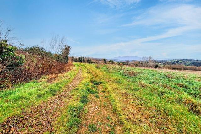 #25517 Fabbricati rurali e terreni agricoli in vendita - foto 15