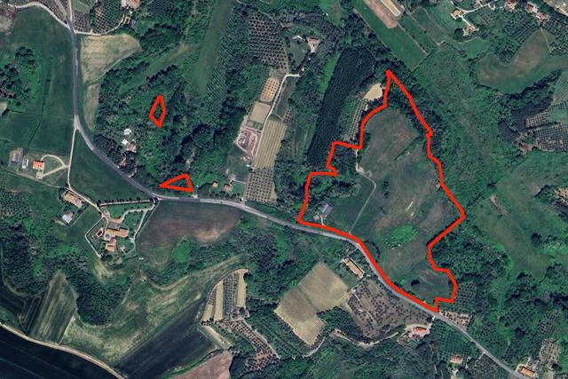 #25517 Fabbricati rurali e terreni agricoli in vendita - foto 19