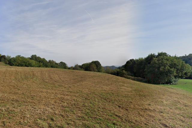 Agricoli in vendita