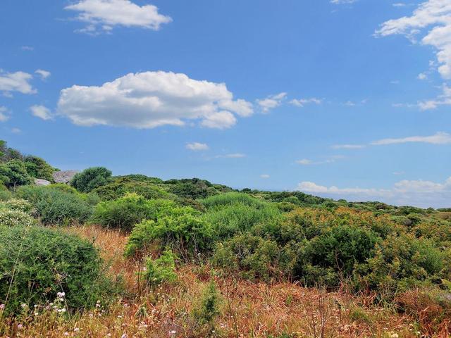 #20554 Terreno di 90.271 mq in vendita - foto 11