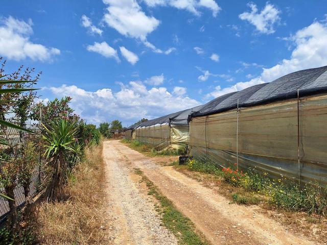 Agricoli in vendita