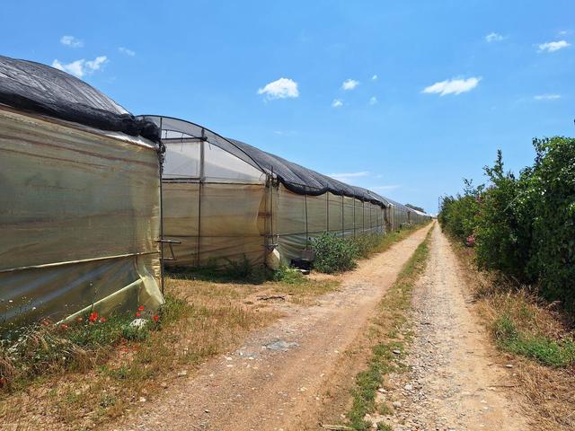 Agricoli in vendita