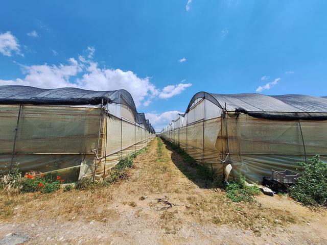 Agricoli in vendita