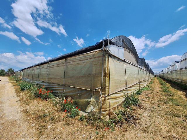 Agricoli in vendita
