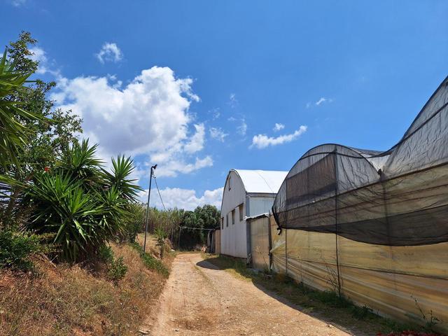 Agricoli in vendita