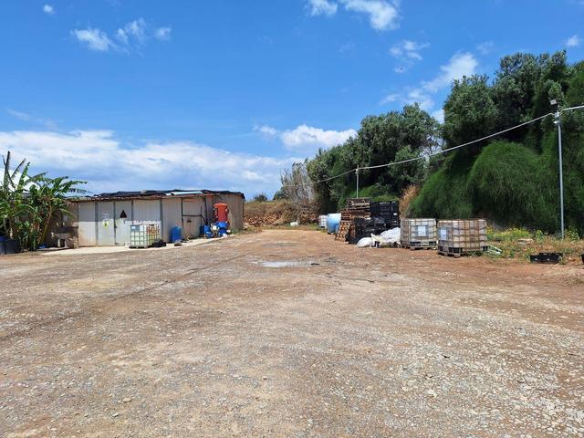 Agricoli in vendita