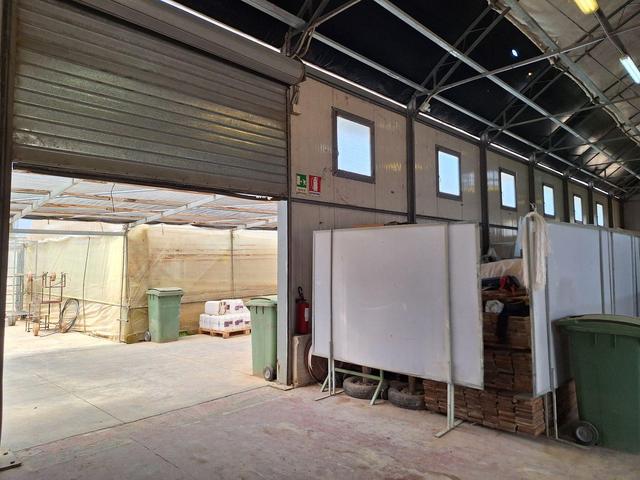 Agricoli in vendita