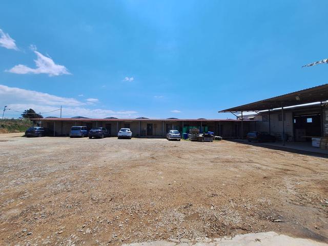 Agricoli in vendita