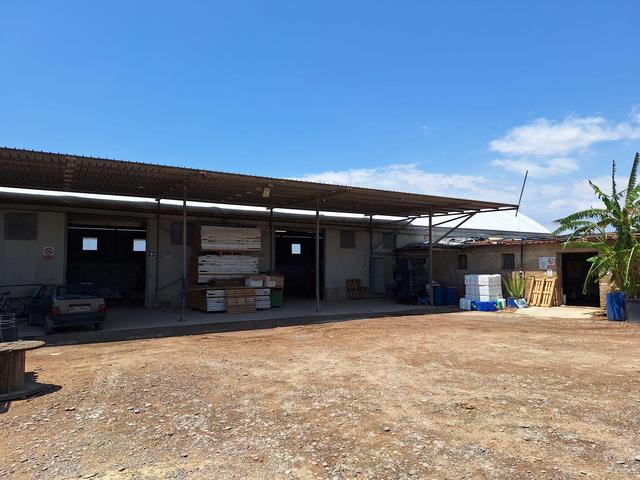 Agricoli in vendita