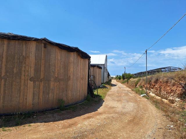 Agricoli in vendita