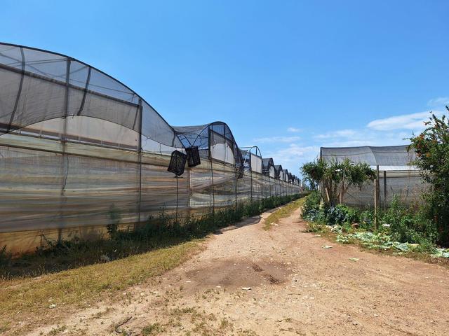 Agricoli in vendita