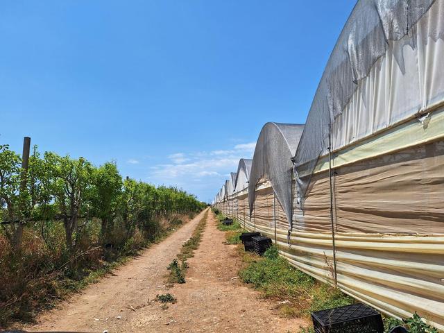 Agricoli in vendita