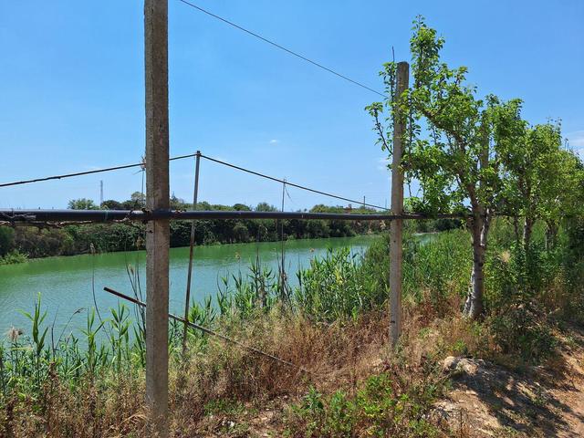 Agricoli in vendita