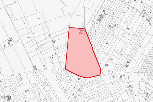 estratto-di-mappa
