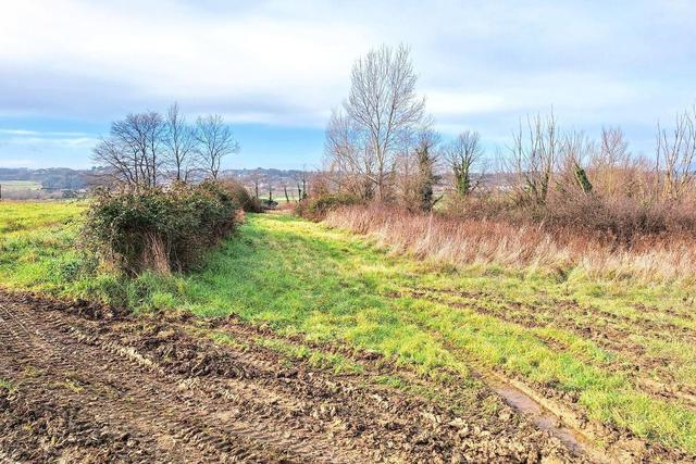#25516 Terreno agricolo collinare in vendita - foto 3
