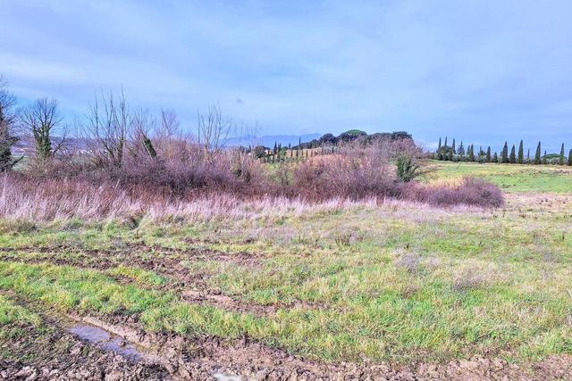 #25516 Terreno agricolo collinare in vendita - foto 10