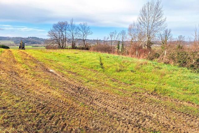 #25516 Terreno agricolo collinare in vendita - foto 4