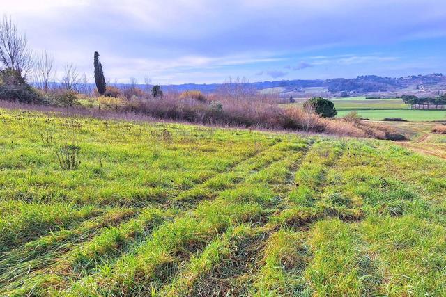 #25516 Terreno agricolo collinare in vendita - foto 9