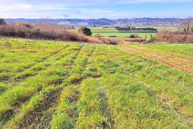 #25516 Terreno agricolo collinare in vendita - foto 8
