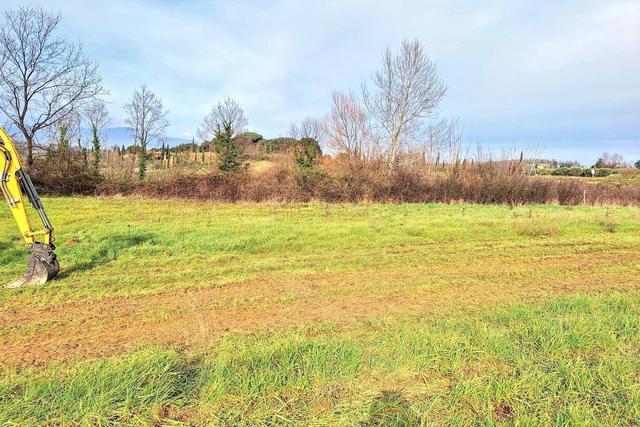 #25516 Terreno agricolo collinare in vendita - foto 6