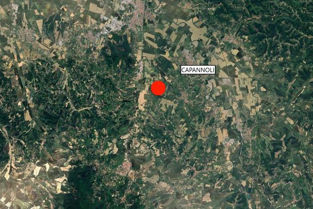 #25516 Terreno agricolo collinare in vendita - foto 11