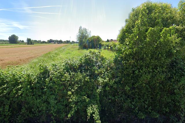 Agricoli in vendita