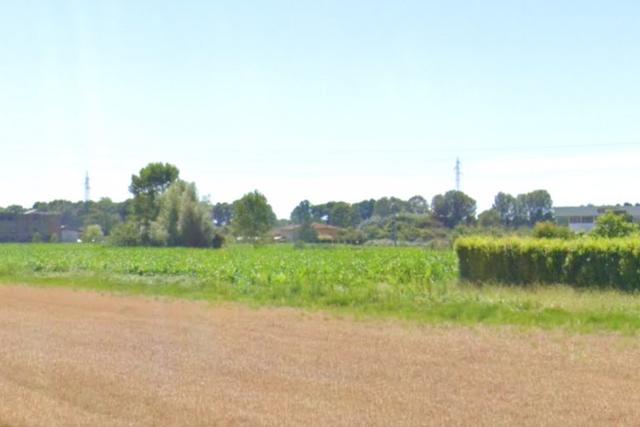 Agricoli in vendita