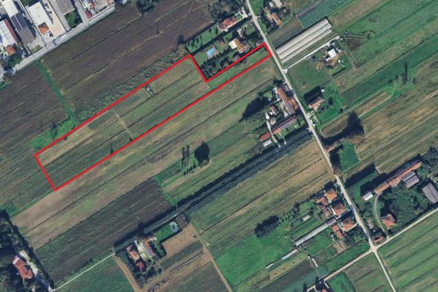 Agricoli in vendita