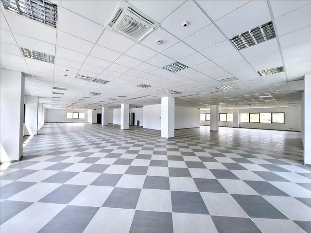 #25752 Palazzina direzionale multipiano con parcheggi, servizi accessori  e corte in vendita - foto 16