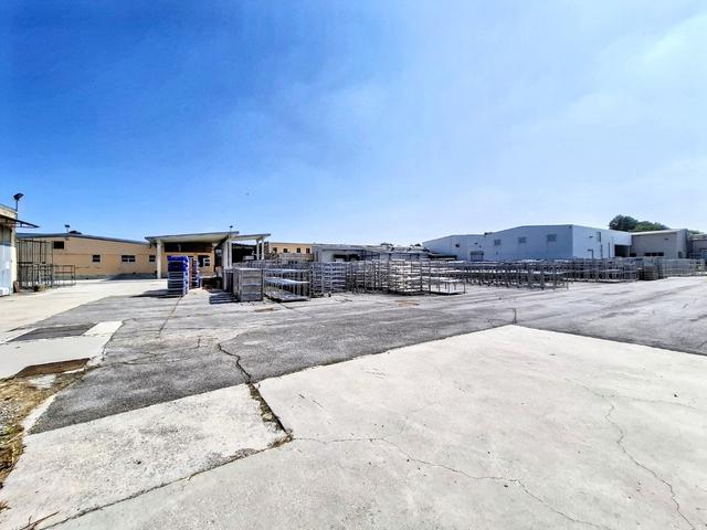 #2536471 Complesso aziendale destinato alla macellazione di suini in vendita - foto 9