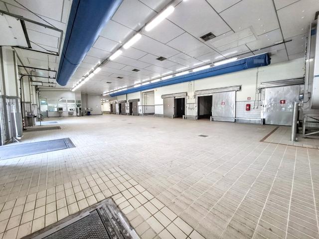 Stabilimenti produttivi in vendita