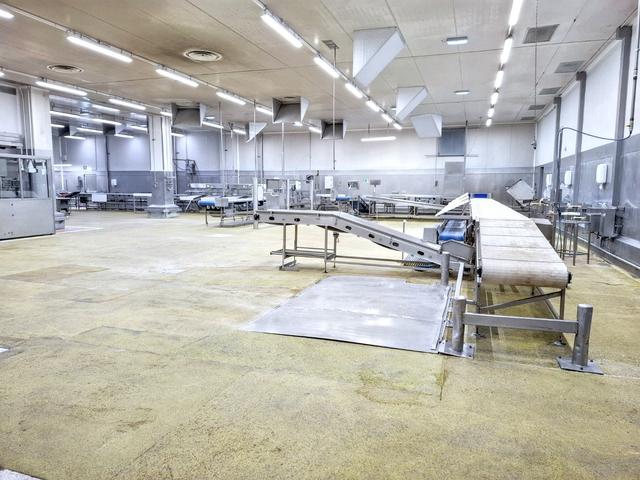 Stabilimenti produttivi in vendita