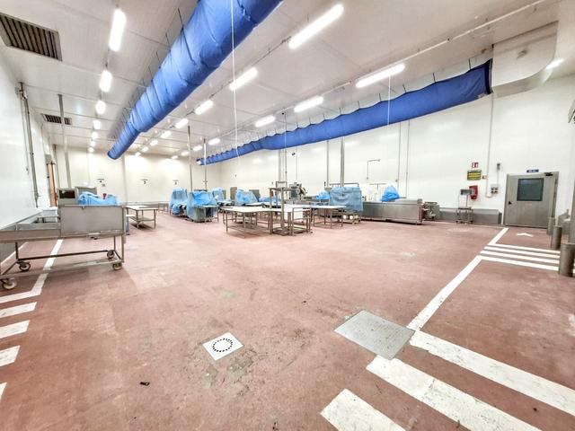 Stabilimenti produttivi in vendita